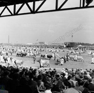 Great Yorkshire Show, 1960